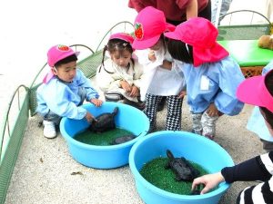 動物とふれあう日