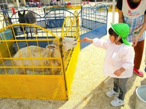 動物とふれあう日