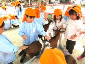 動物とふれあう日